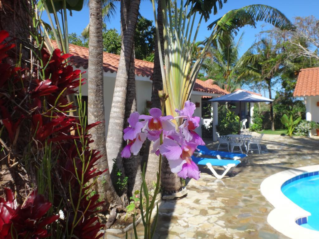 Garden By The Sea Bed and Breakfast Sosúa Exterior foto