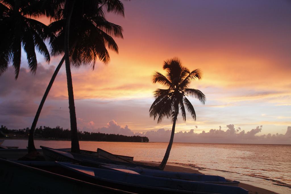 Garden By The Sea Bed and Breakfast Sosúa Exterior foto